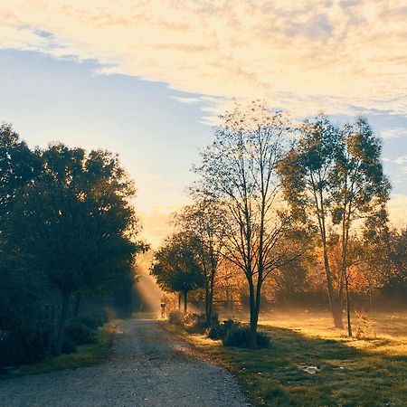 Gite Au Haras Des Arts Saint-Aubin-de-Bonneval Kültér fotó